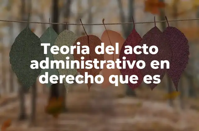 Teoria Del Acto Administrativo en Derecho que es