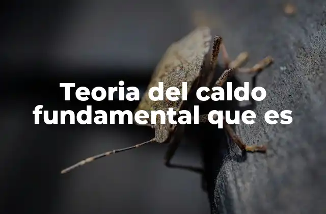 Teoria Del Caldo Fundamental que es