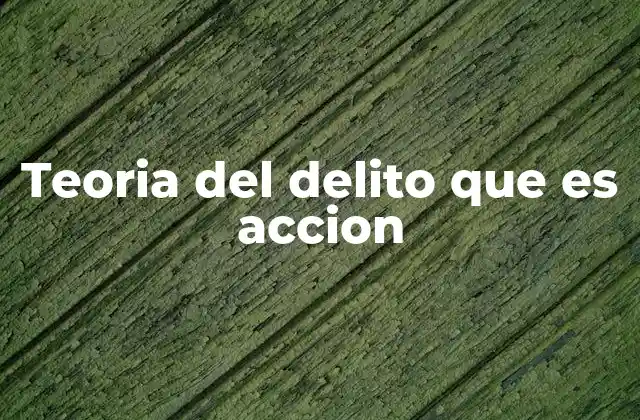 Teoria Del Delito que es Accion