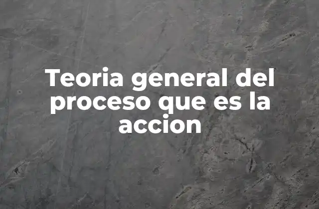 Teoria General Del Proceso que es la Accion
