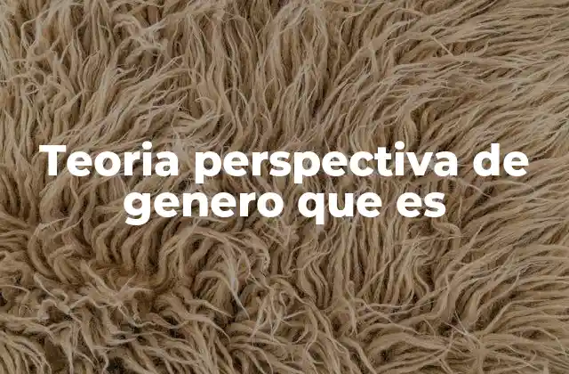 Teoria Perspectiva de Genero que es