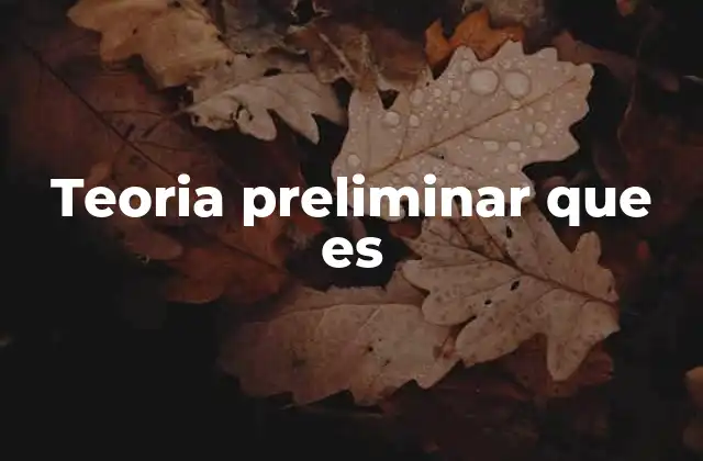 Teoria Preliminar que es