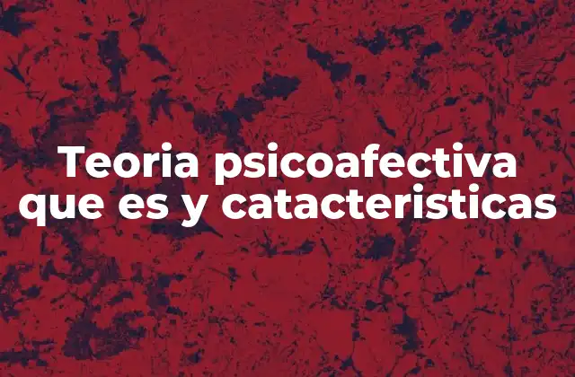 Teoria Psicoafectiva que es y Catacteristicas