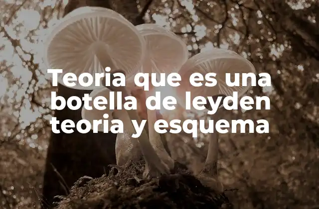 Teoria que es una Botella de Leyden Teoria y Esquema