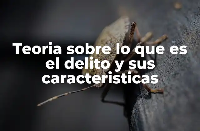 Teoria sobre Lo que es el Delito y Sus Caracteristicas