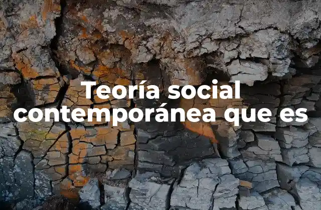 Teoría Social Contemporánea que es