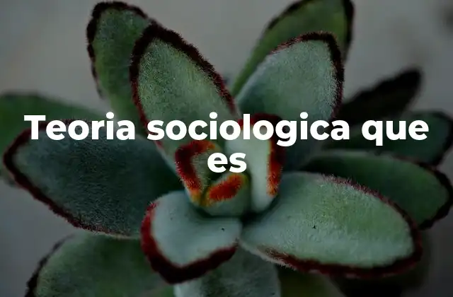 Teoria Sociologica que es