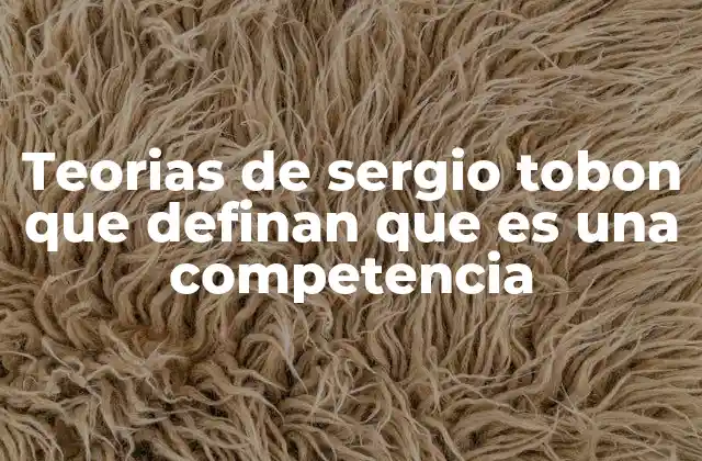 Teorias de Sergio Tobon que Definan que es una Competencia
