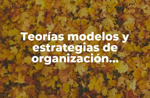 Teorías Modelos y Estrategias de Organización Institucional que es