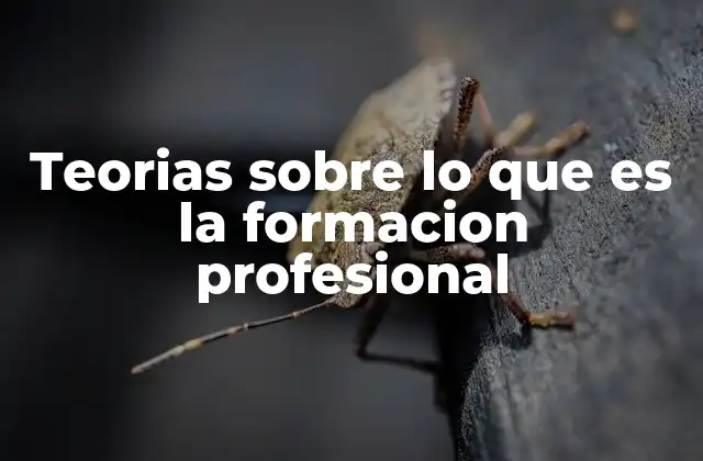 El papel de la formación profesional en la sociedad moderna