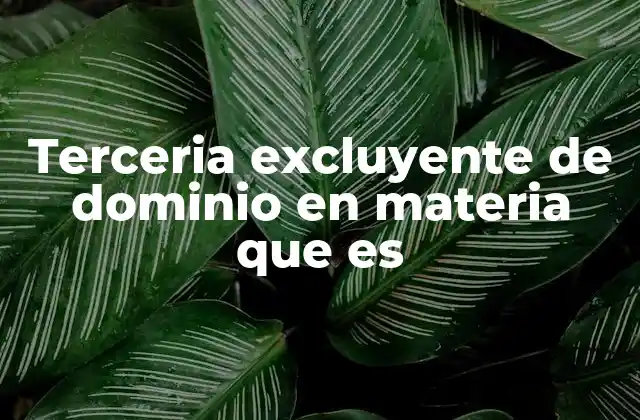 Terceria Excluyente de Dominio en Materia que es