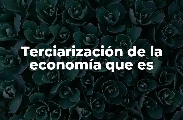 Terciarización de la Economía que es
