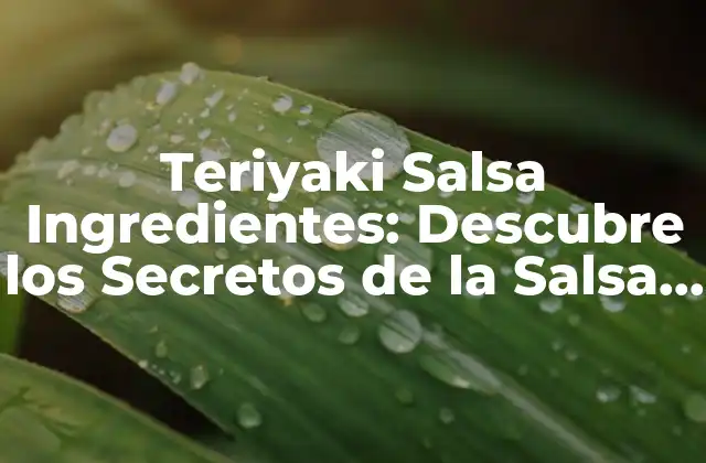 Teriyaki Salsa Ingredientes: Descubre los Secretos de la Salsa Japonesa