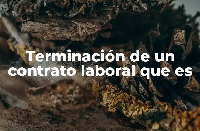 Terminación de un Contrato Laboral que es