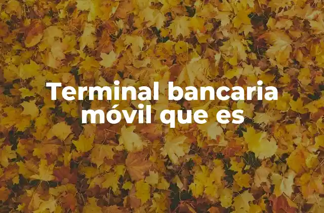 Terminal Bancaria Móvil que es