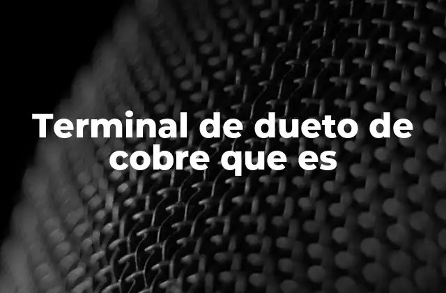 Terminal de Dueto de Cobre que es