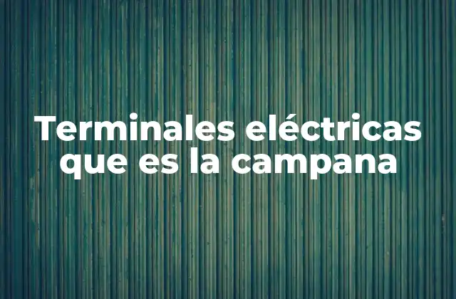 Terminales Eléctricas que es la Campana