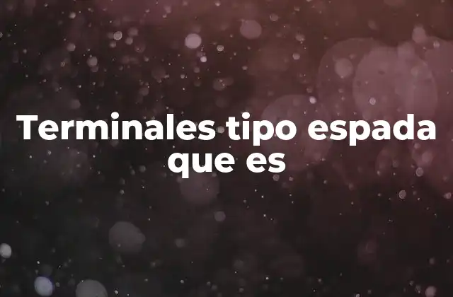 Terminales Tipo Espada que es