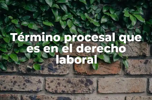 Término Procesal que es en el Derecho Laboral 2 El papel de los términos procesales en la resolución de conflictos laborales