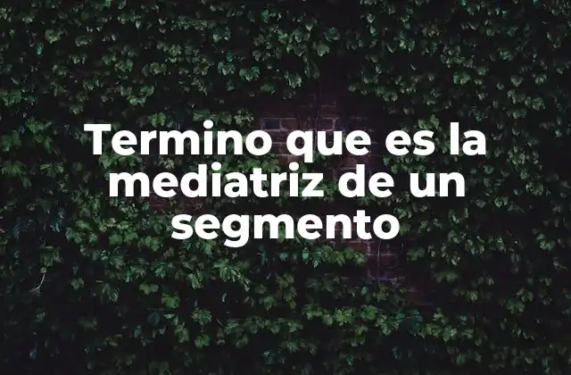 Termino que es la Mediatriz de un Segmento