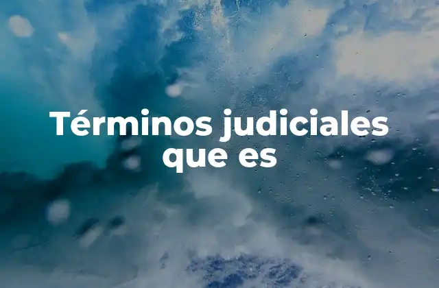 Términos Judiciales que es