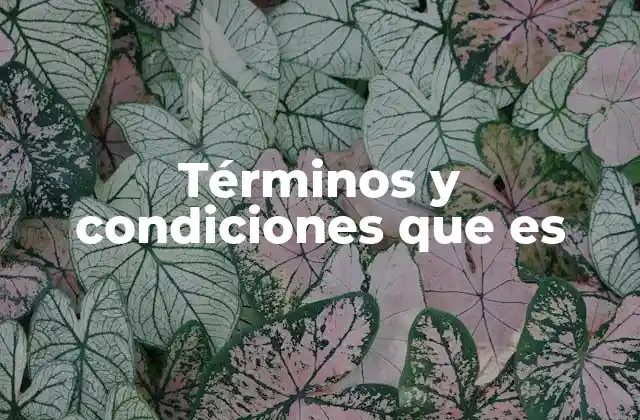 Términos y Condiciones que es