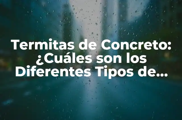 Termitas de Concreto: ¿cuáles Son los Diferentes Tipos de Termitas que Afectan el Concreto?