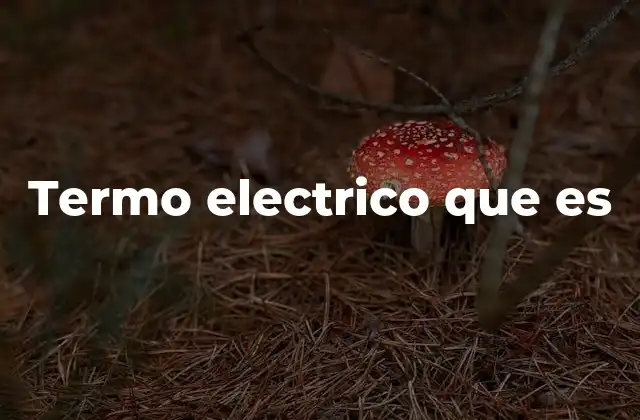 Termo Electrico que es 2 Los termos eléctricos en la vida moderna
