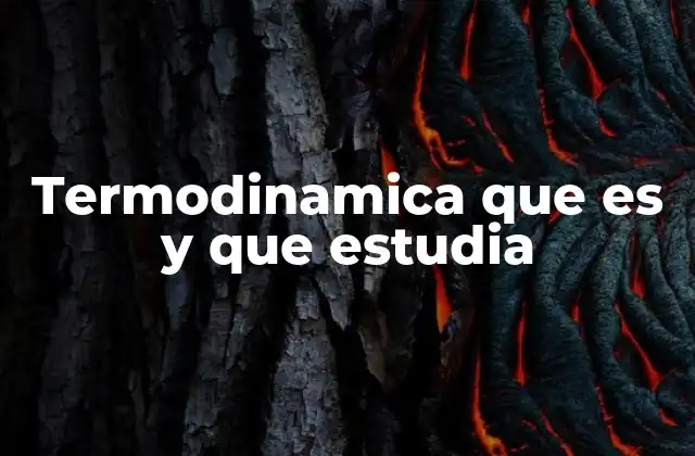 Termodinamica que es y que Estudia