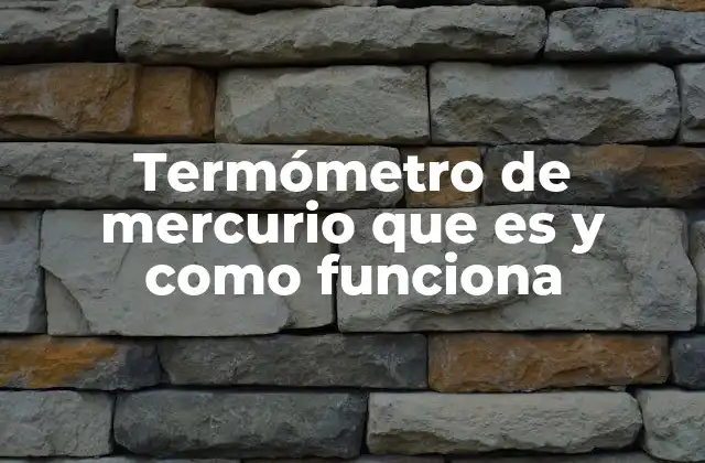 Termómetro de Mercurio que es y como Funciona