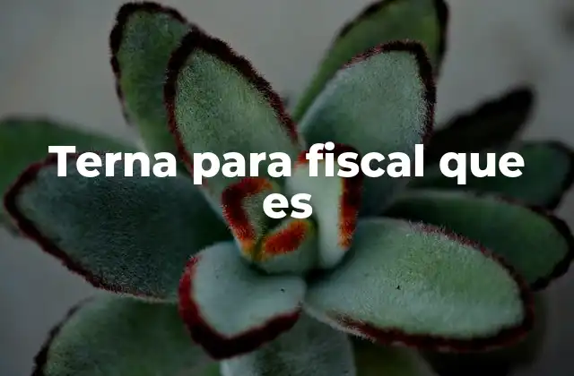 Terna para Fiscal que es