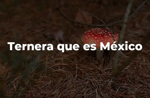 Ternera que es México