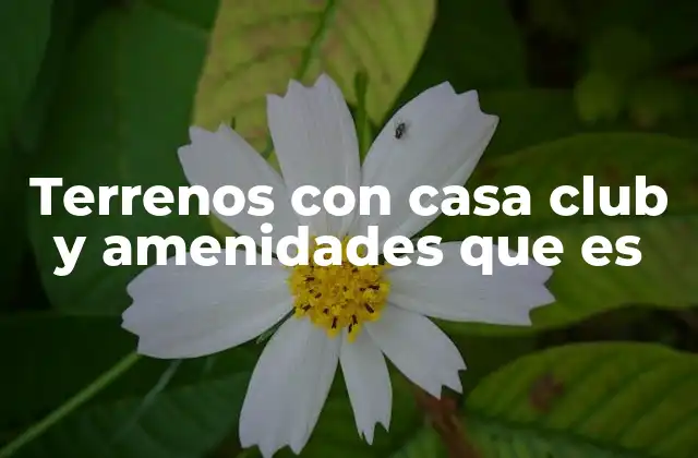 Terrenos con Casa Club y Amenidades que es