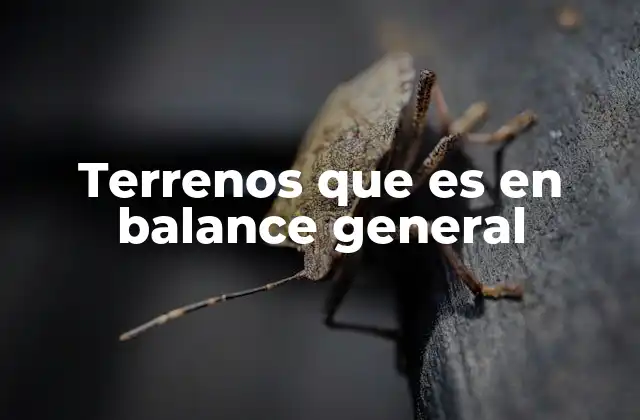 Terrenos que es en Balance General