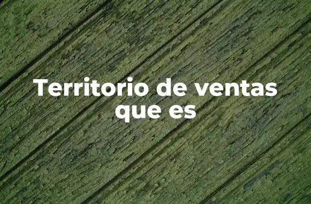 Territorio de Ventas que es