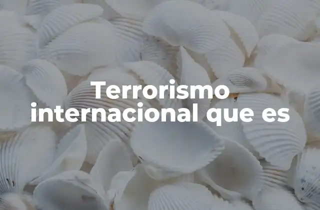 Terrorismo Internacional que es
