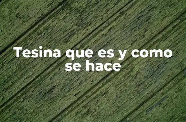 Tesina que es y como Se Hace