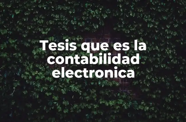Tesis que es la Contabilidad Electronica