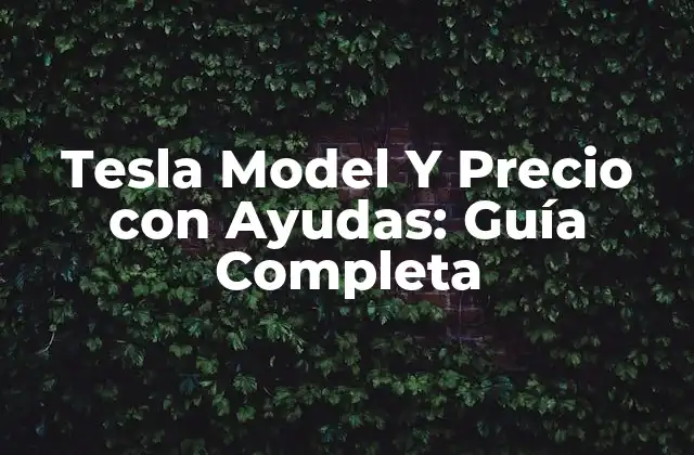 Tesla Model y Precio con Ayudas: Guía Completa