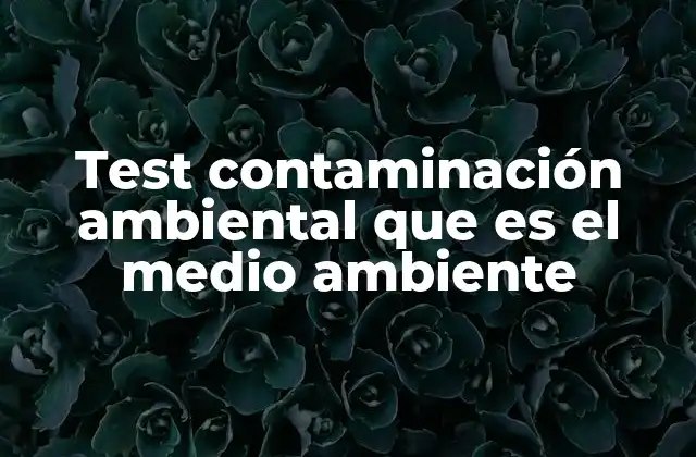 Test Contaminación Ambiental que es el Medio Ambiente 2 La importancia de evaluar el estado del entorno natural