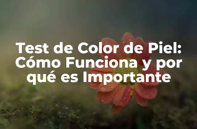 Test de Color de Piel: Cómo Funciona y por Qué es Importante 2 ¿Qué es el Test de Color de Piel?