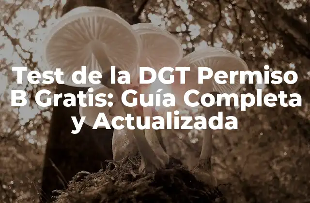 Test de la Dgt Permiso B Gratis: Guía Completa y Actualizada 2 ¿Qué es el Test de la DGT Permiso B?