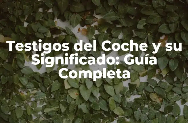 Testigos Del Coche y Su Significado: Guía Completa
