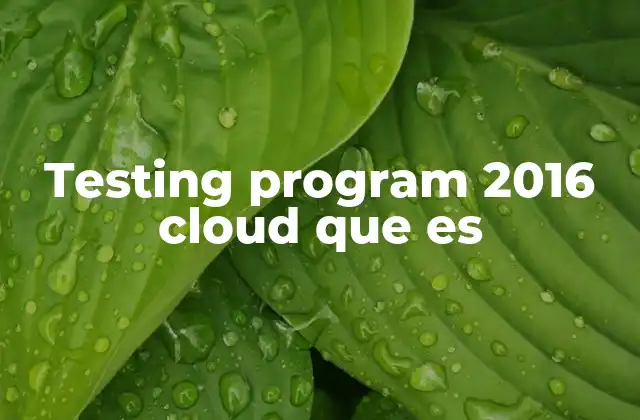 Testing Program 2016 Cloud que es 2 La importancia del testing en entornos cloud