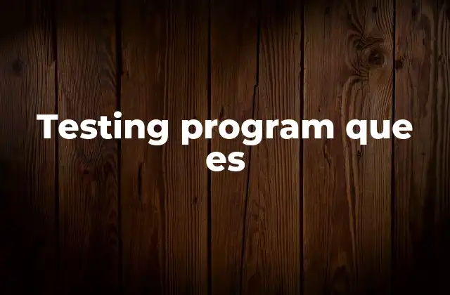Testing Program que es