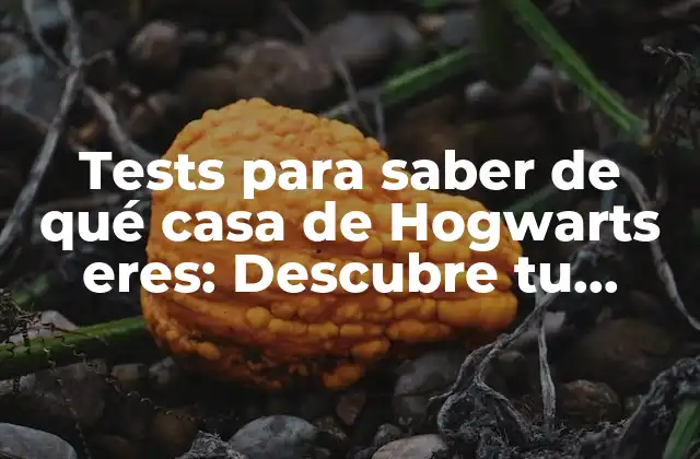 ¿Qué son los tests para saber de qué casa de Hogwarts eres?