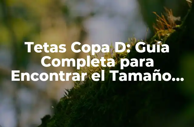 Tetas Copa D: Guía Completa para Encontrar el Tamaño Perfecto