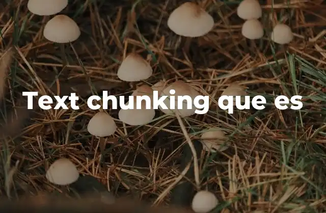 Text Chunking que es