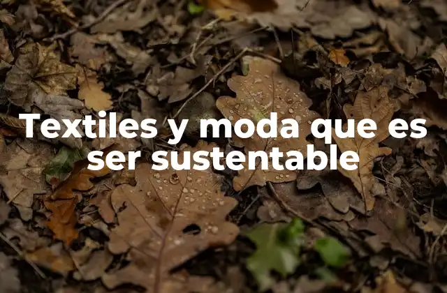 Textiles y Moda que es Ser Sustentable