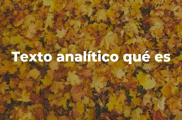 Texto Analítico Qué es